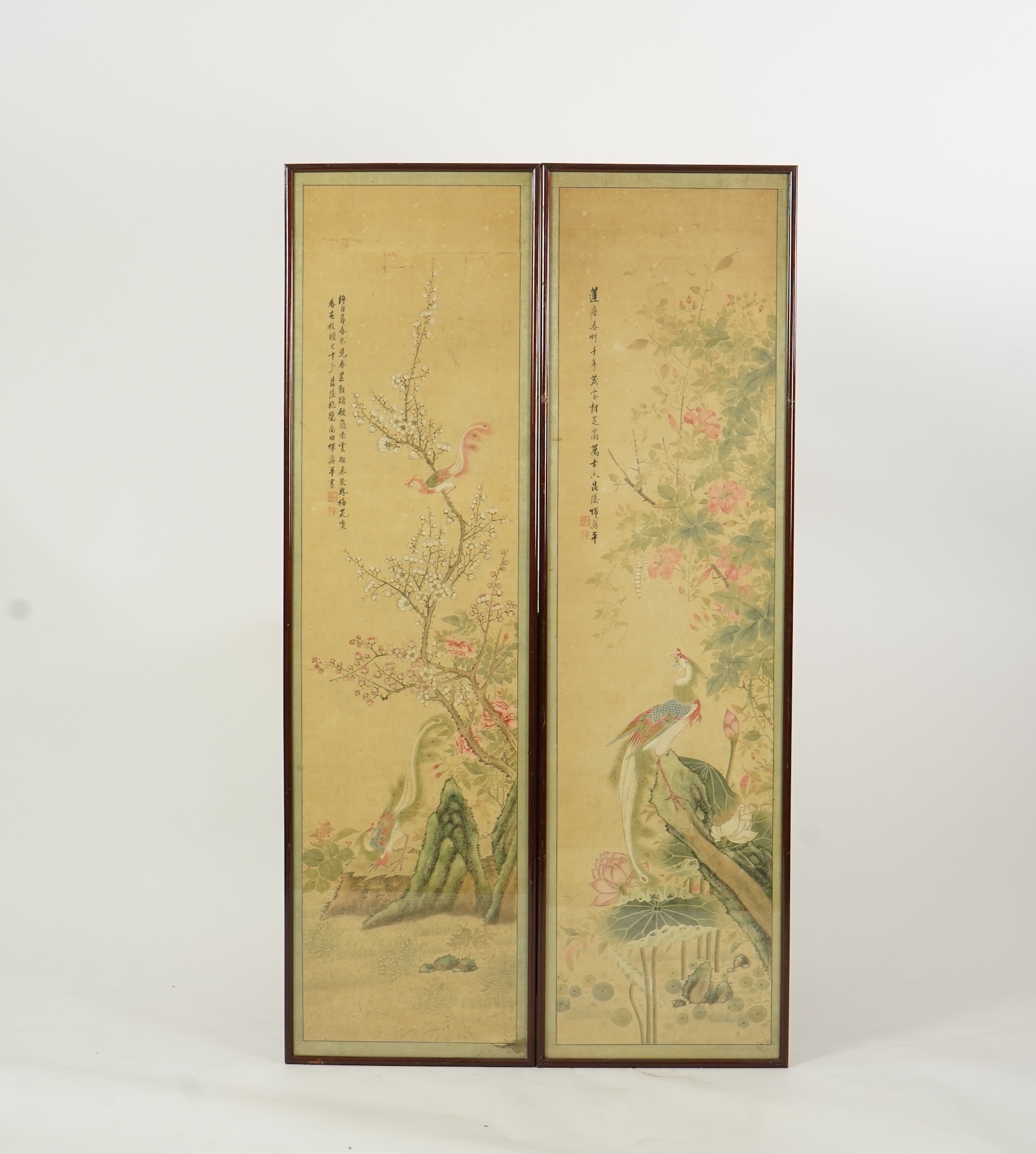 Chinese School , (18th/19th century), Phoenixes amid flowers, Ink and colour on paper; a pair
